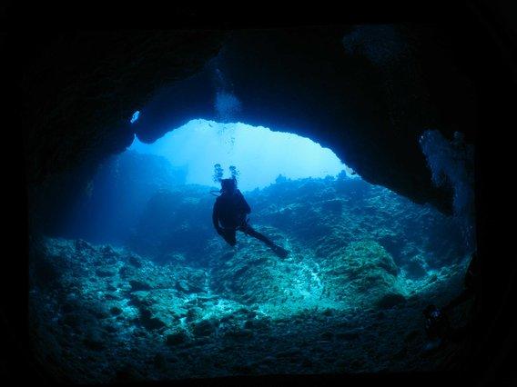 依兰 经济实力稳步攀升 转型发展步伐加快